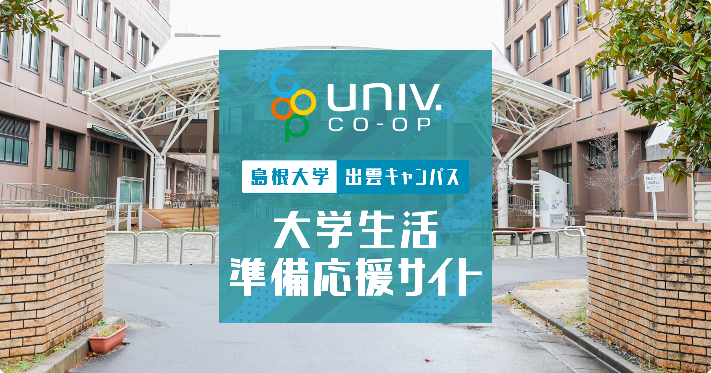 島根大学 2020年版 島根大学 (2024年版大学入試シリーズ) | 教学社編集部 |本